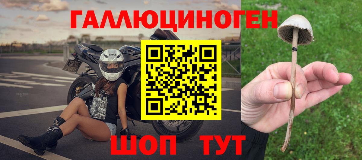 Прохладный  Галлюциногенные грибы GOLDEN TEACHER  Вход с VPN 